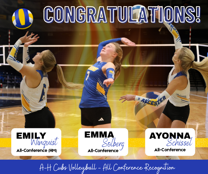 Volleyball All-Conference
